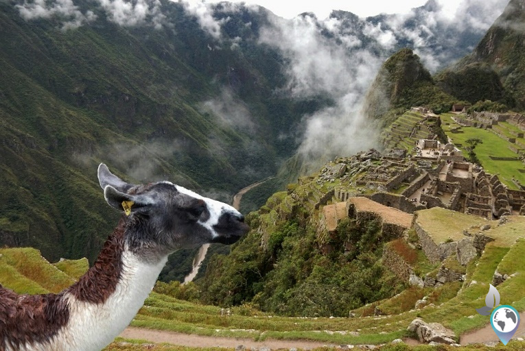 Machu Picchu ohne Tour I Wie geht das? I schmetterlinga