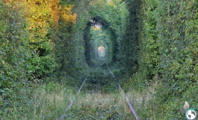 Tunnel of Love in Rumänien